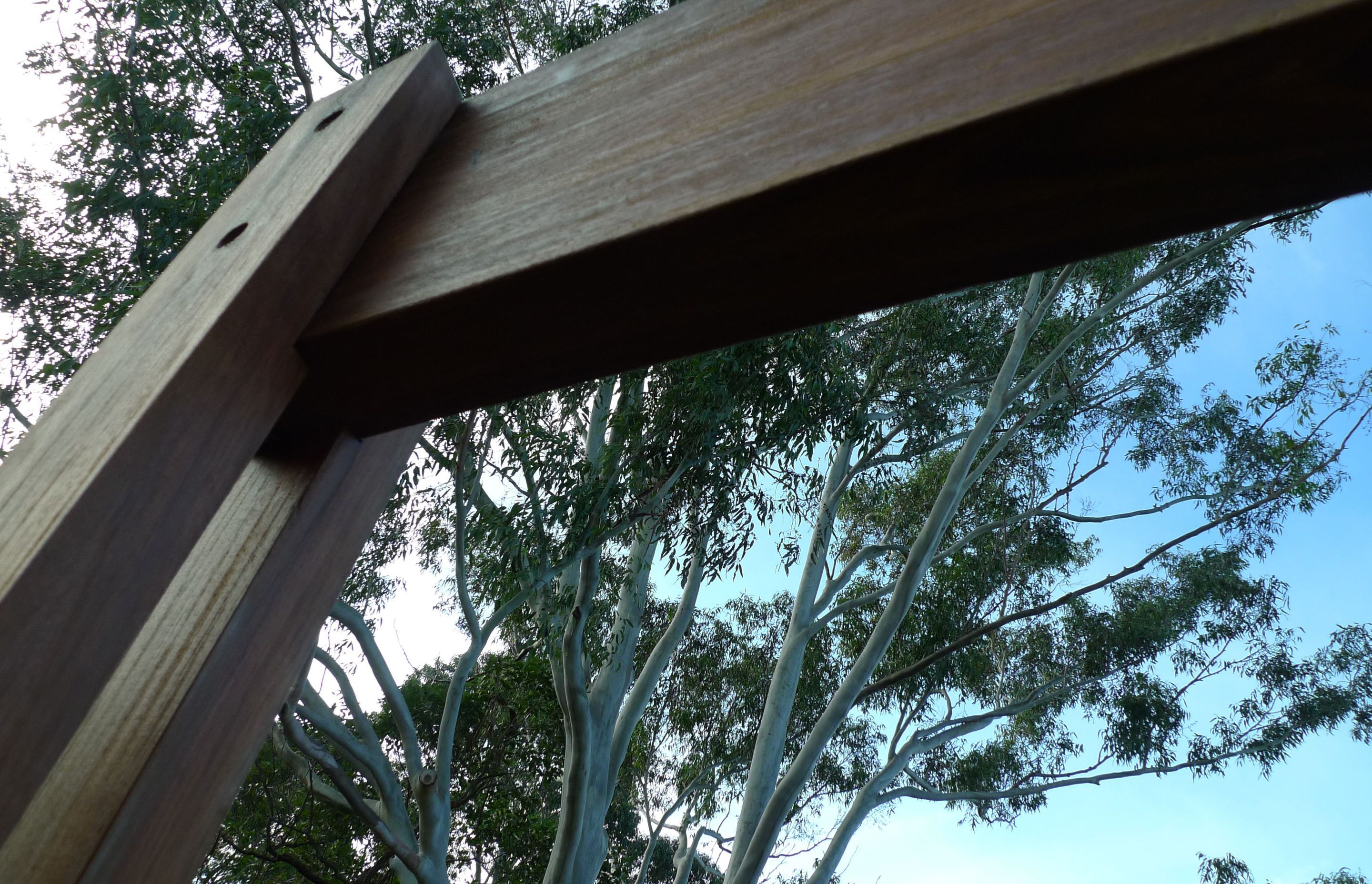 Tree House