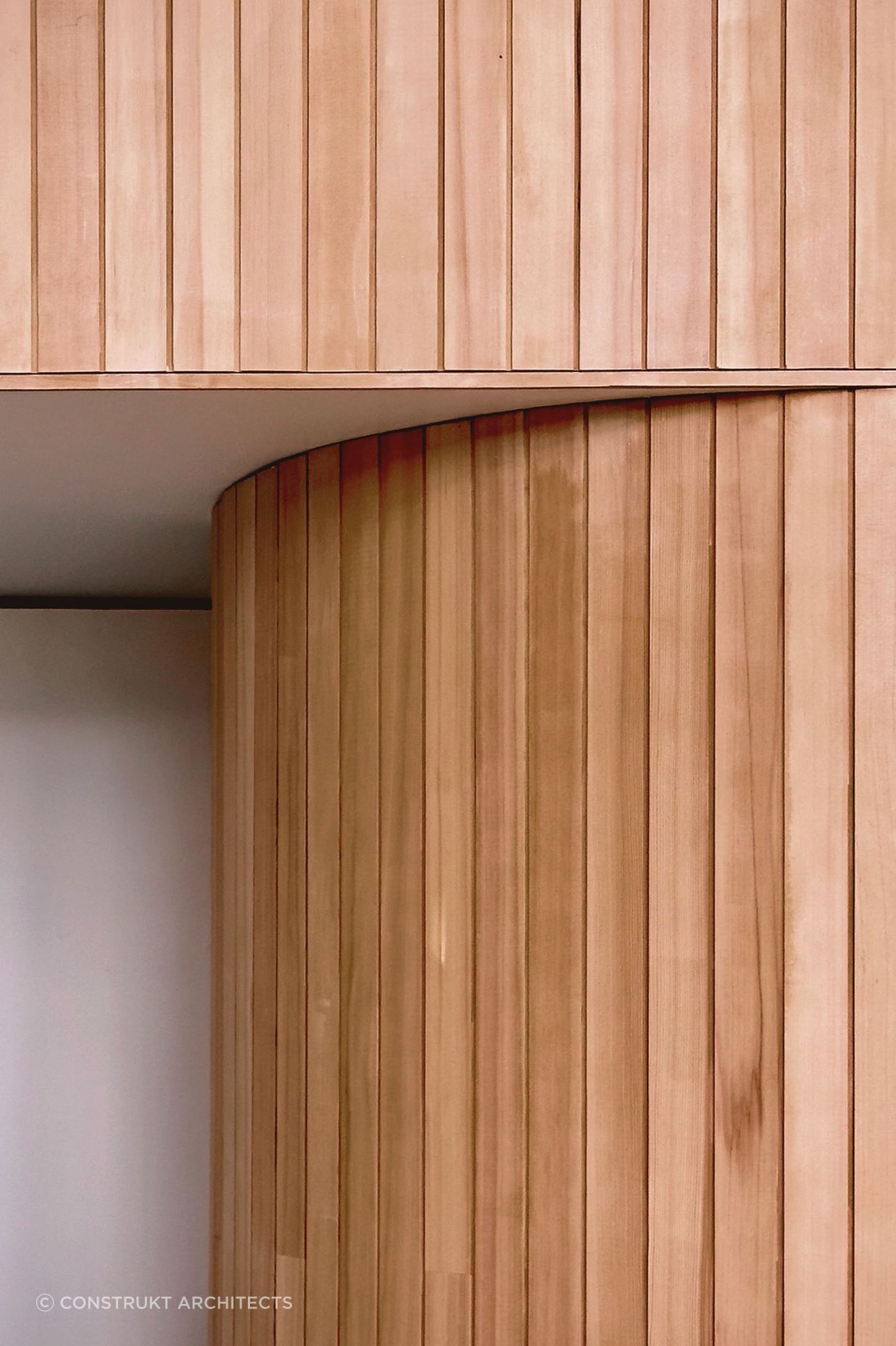 Under-Canopy-CoverModern-ArchitectureConstrukt-ArchitectsAucklandFinish-v2.jpg
