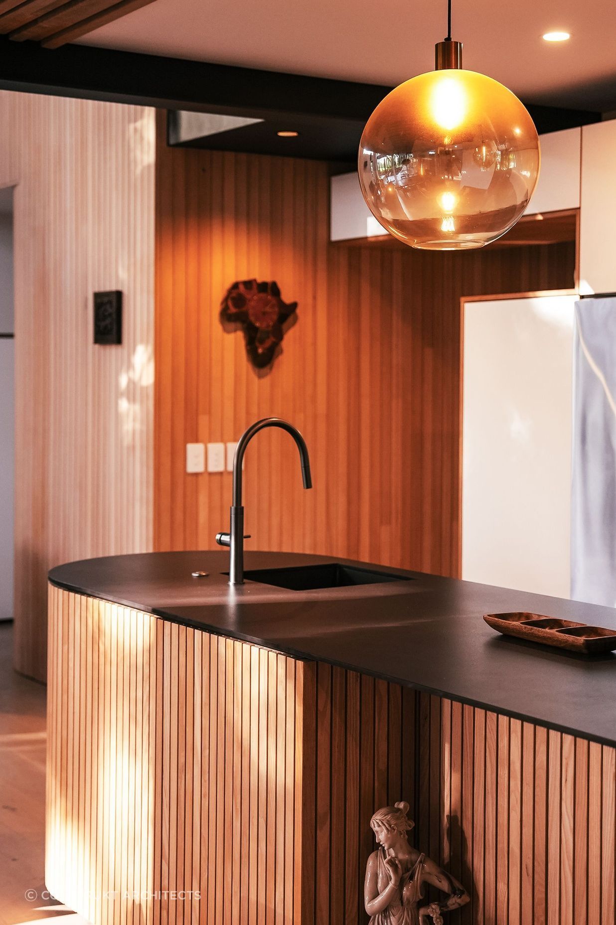 Under-Canopy-CoverModern-ArchitectureConstrukt-ArchitectsAucklandKitchen-v2.jpg
