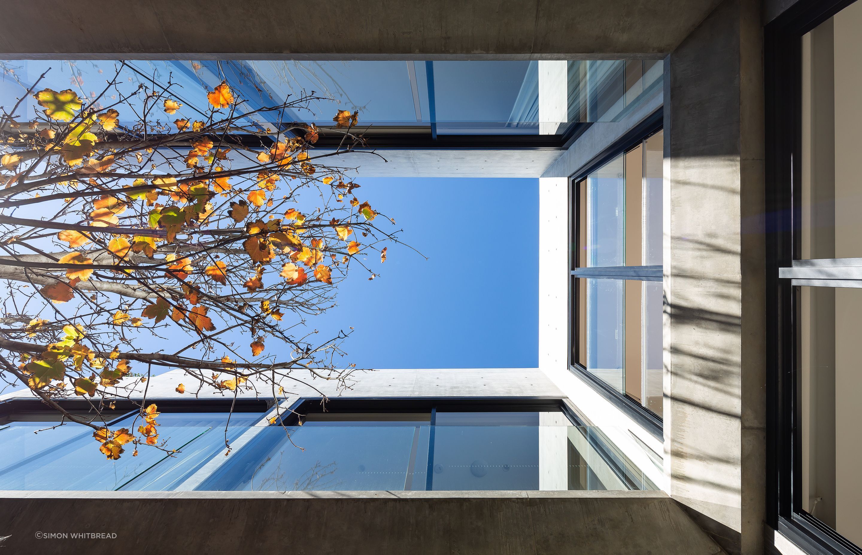 UrsinoArchitectsSandringhamHouse15.jpg