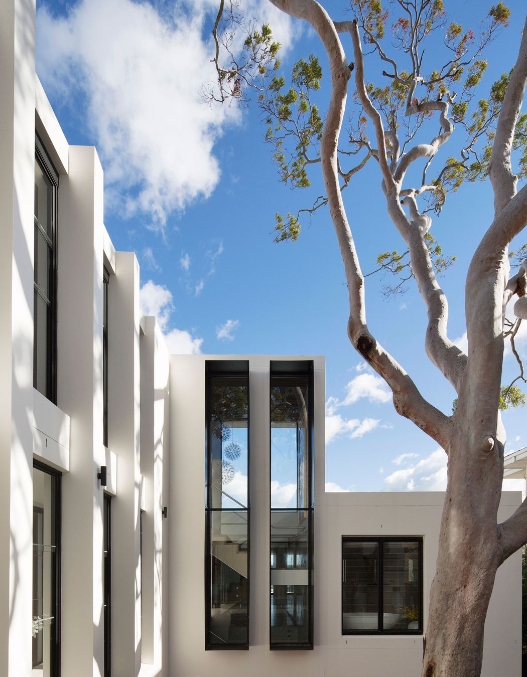UrsinoArchitectsTreetopsHouse0103.jpg