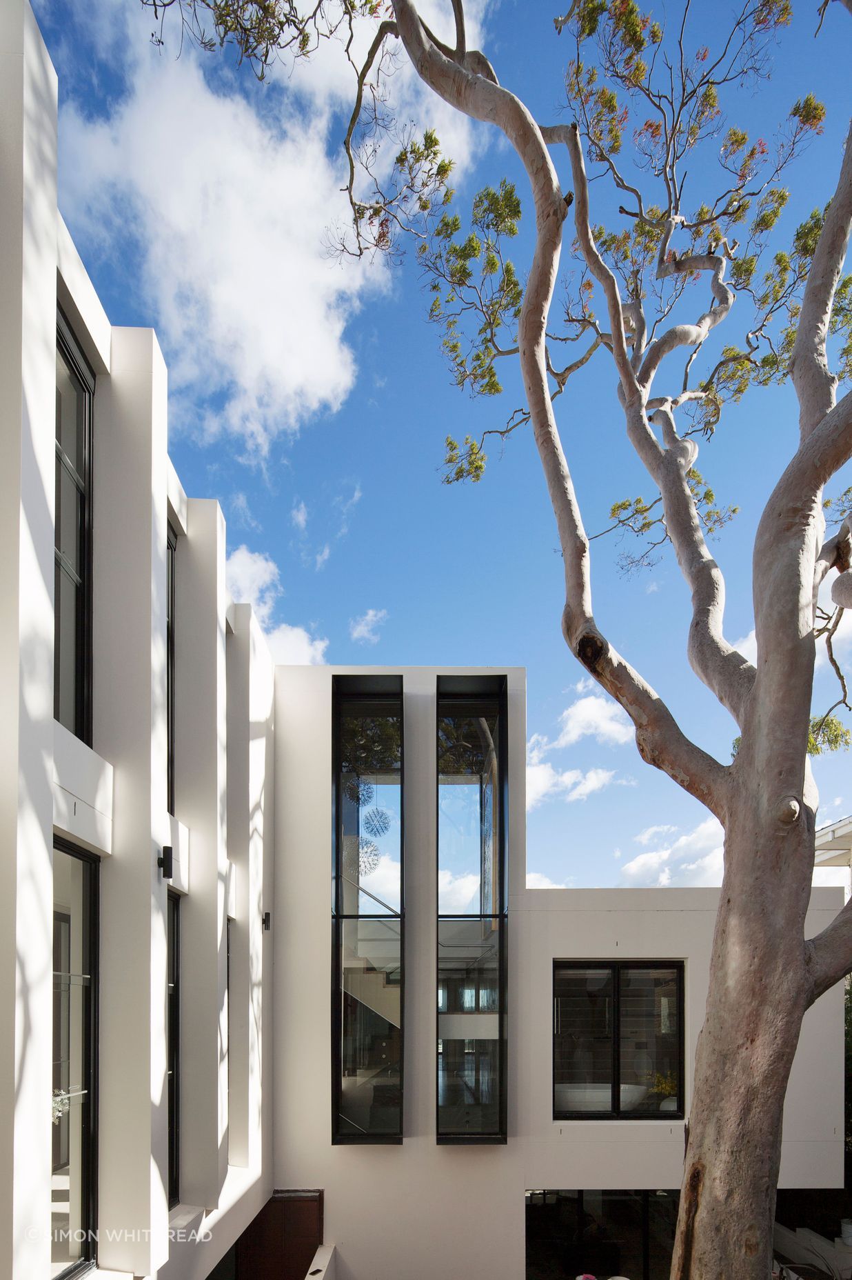 UrsinoArchitectsTreetopsHouse0103.jpg