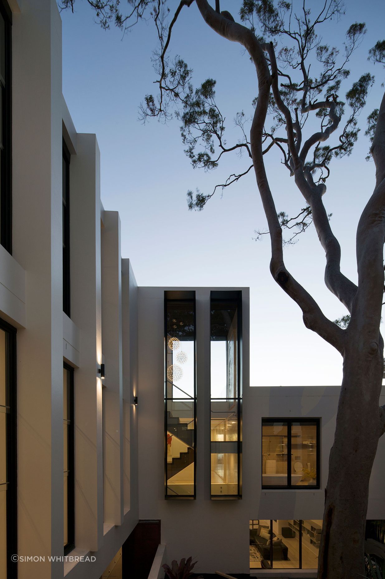 UrsinoArchitectsTreetopsHouse0117.jpg