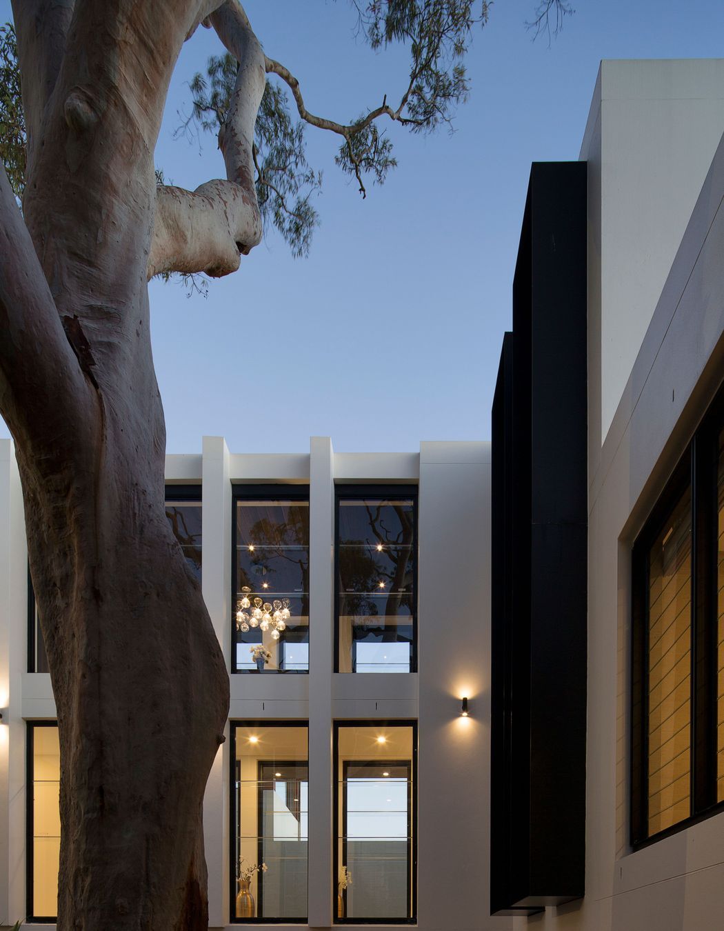 UrsinoArchitectsTreetopsHouse0119.jpg