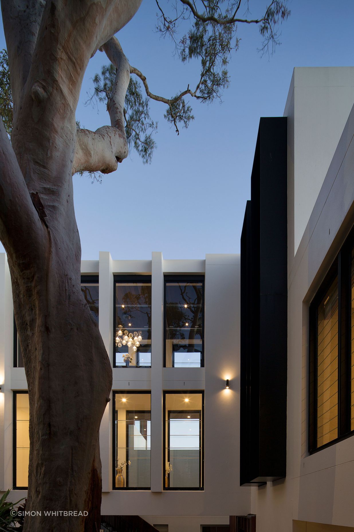 UrsinoArchitectsTreetopsHouse0119.jpg