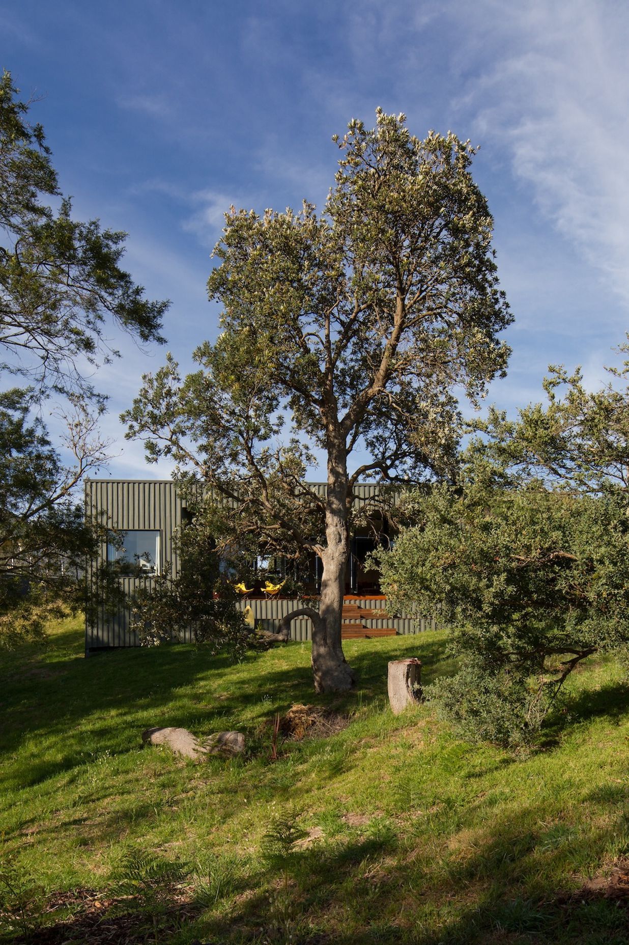 Venus Bay Bach