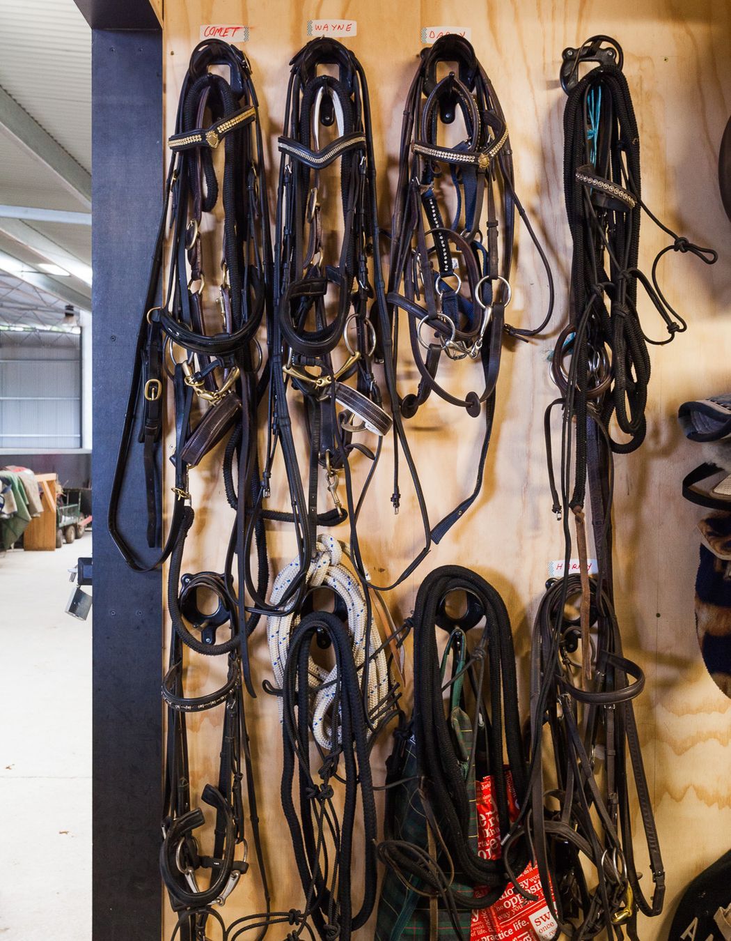 Equistrian Estate - Flinders