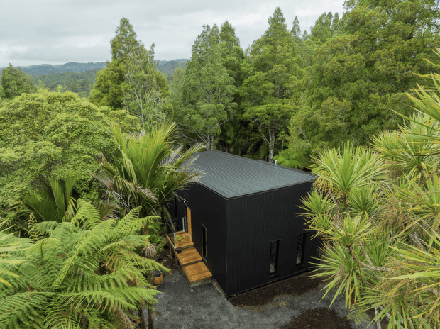 A compact black-clad cabin with a simple low-pitched roof, viewed from above and surrounded by dense native-looking forest, tree ferns, palms, and other lush vegetation. A small timber entry deck and steps lead to the dark building, creating a secluded bush setting.