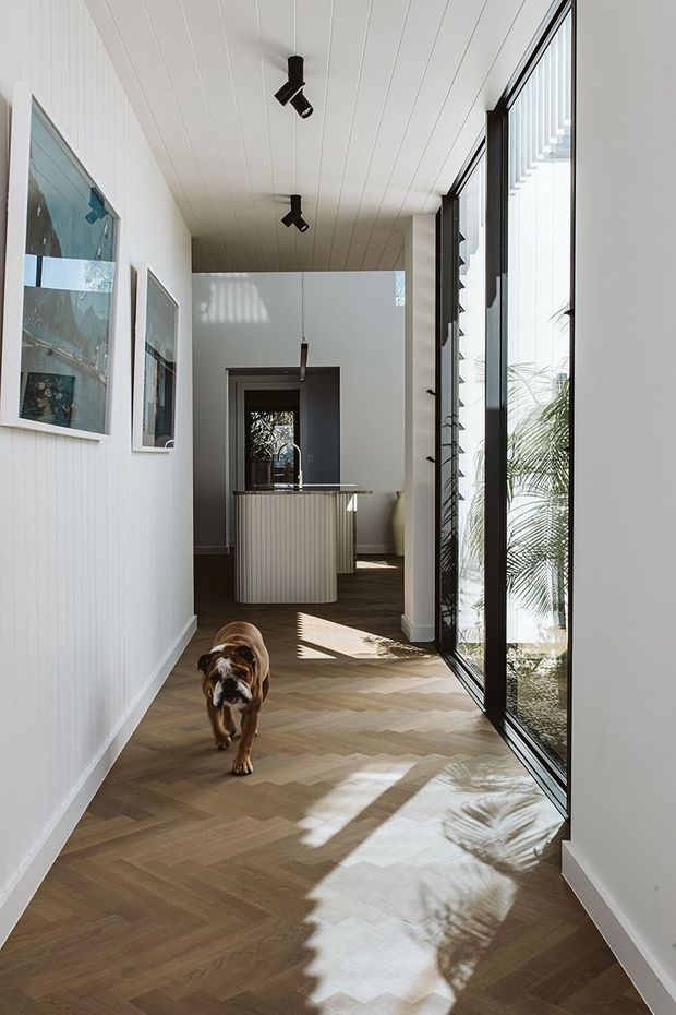 Bright contemporary residential hallway or entry corridor with warm herringbone timber flooring, white vertical wall panelling, a white linear-panel ceiling, black track lighting, framed artwork, and full-height black-framed glazing along one side. A curved ribbed island or console is visible at the far end, with strong sunlight and palm shadows entering through the glass.