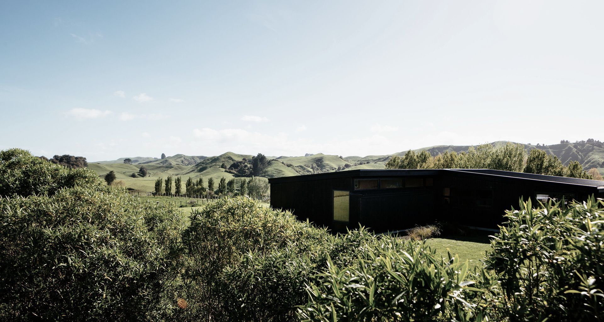 Totara Hill, Taranaki banner