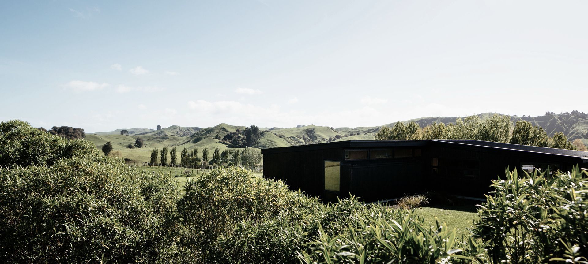 Totara Hill, Taranaki banner