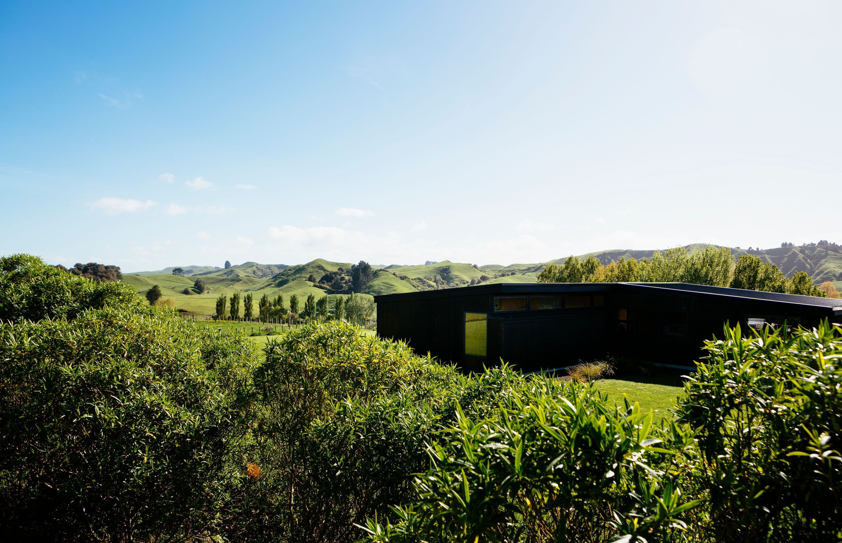 Totara Hill, Taranaki