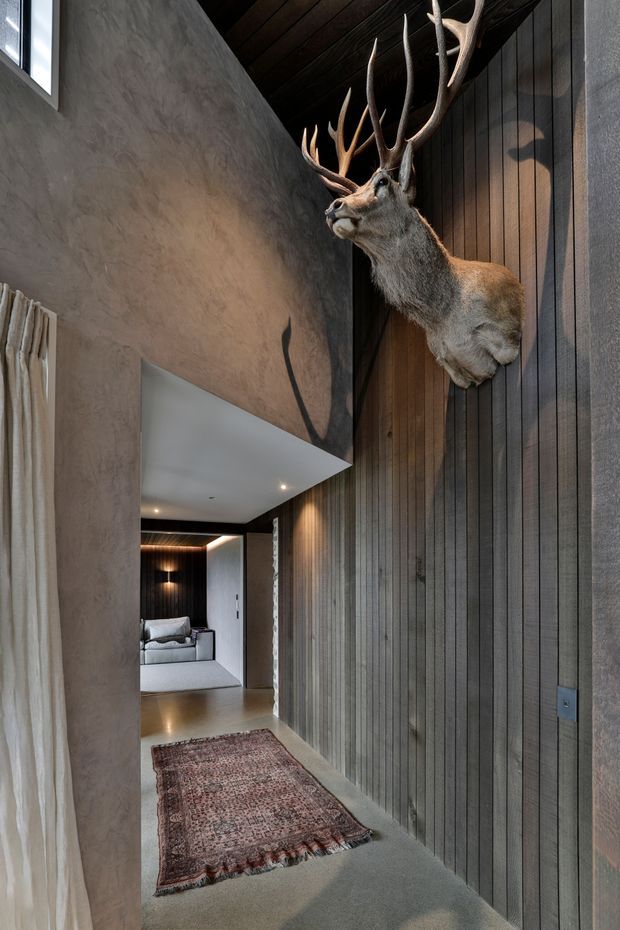 A narrow, dramatic residential hallway with a high ceiling, textured plaster walls, vertical dark timber wall panelling, recessed lighting, and a partial view into a living room. A mounted stag head forms a prominent sculptural feature on the timber wall. A patterned runner sits on the smooth grey floor, and a concealed doorway opens toward the adjoining lounge.