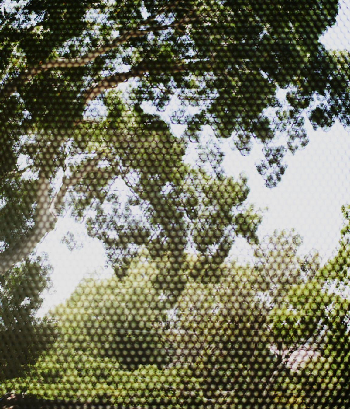 Photography: Brett Boardman, Noel Mclaughlin