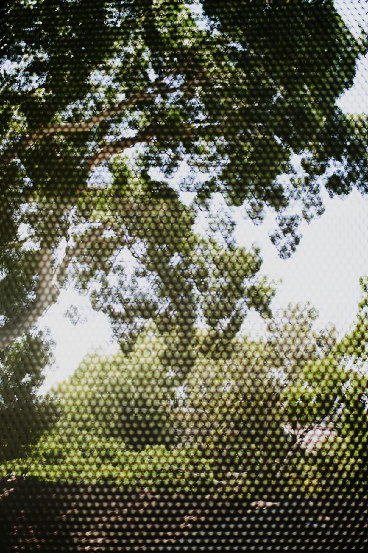 Photography: Brett Boardman, Noel Mclaughlin