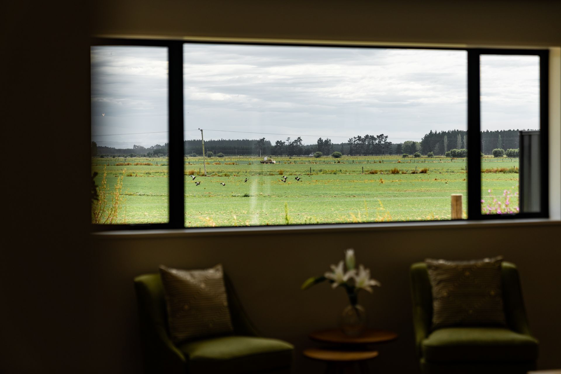 Ranginui Dr, Beachgrove, Kaiapoi - New Build