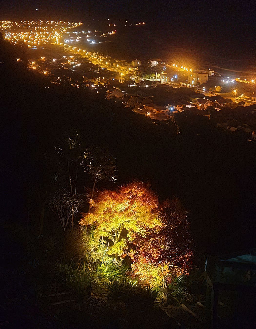 Ravenswood Road St Clair Ambiance