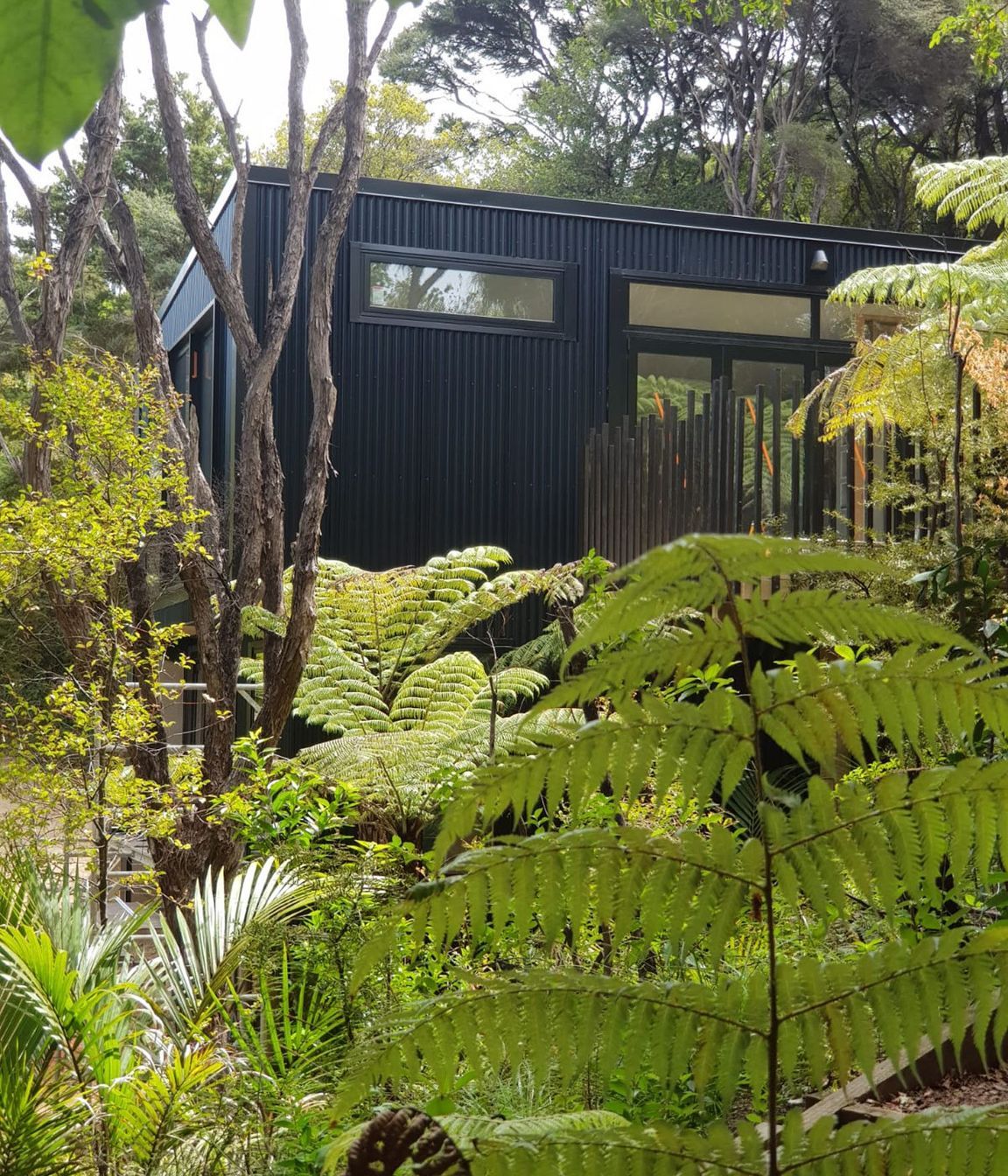 Waiheke Tiny House - Studio
