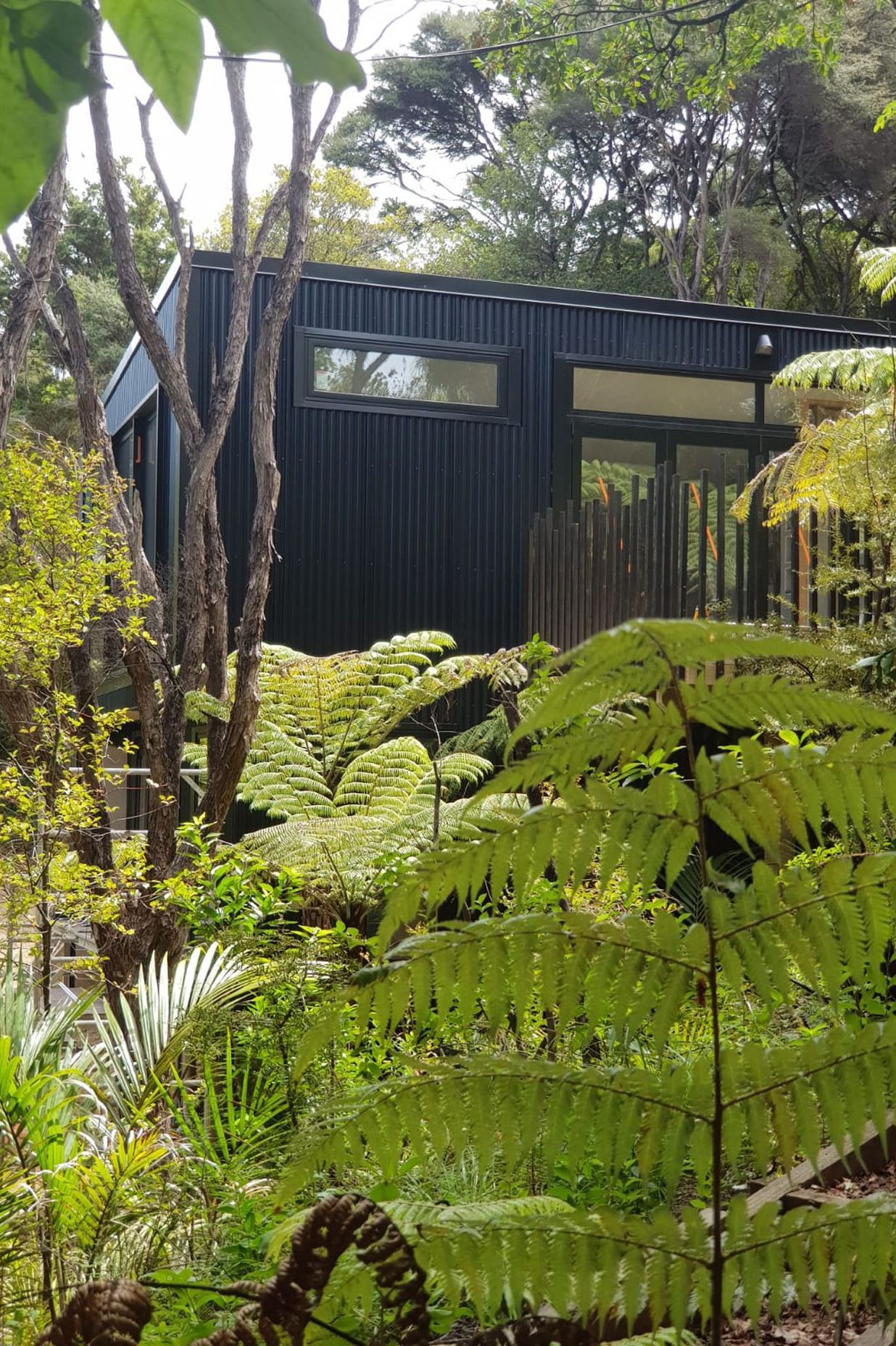 Waiheke Tiny House - Studio