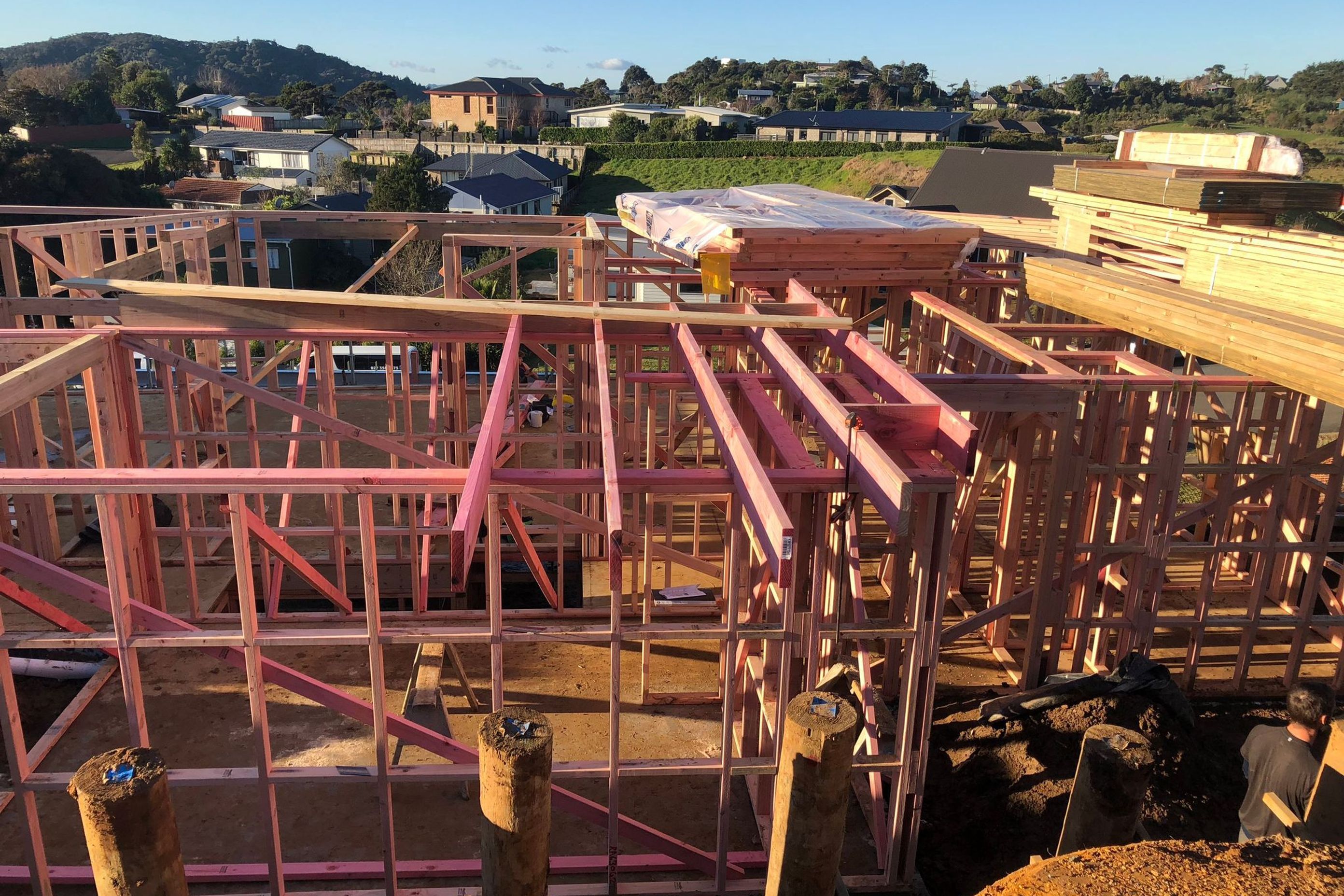 Nikau Park Renovation
