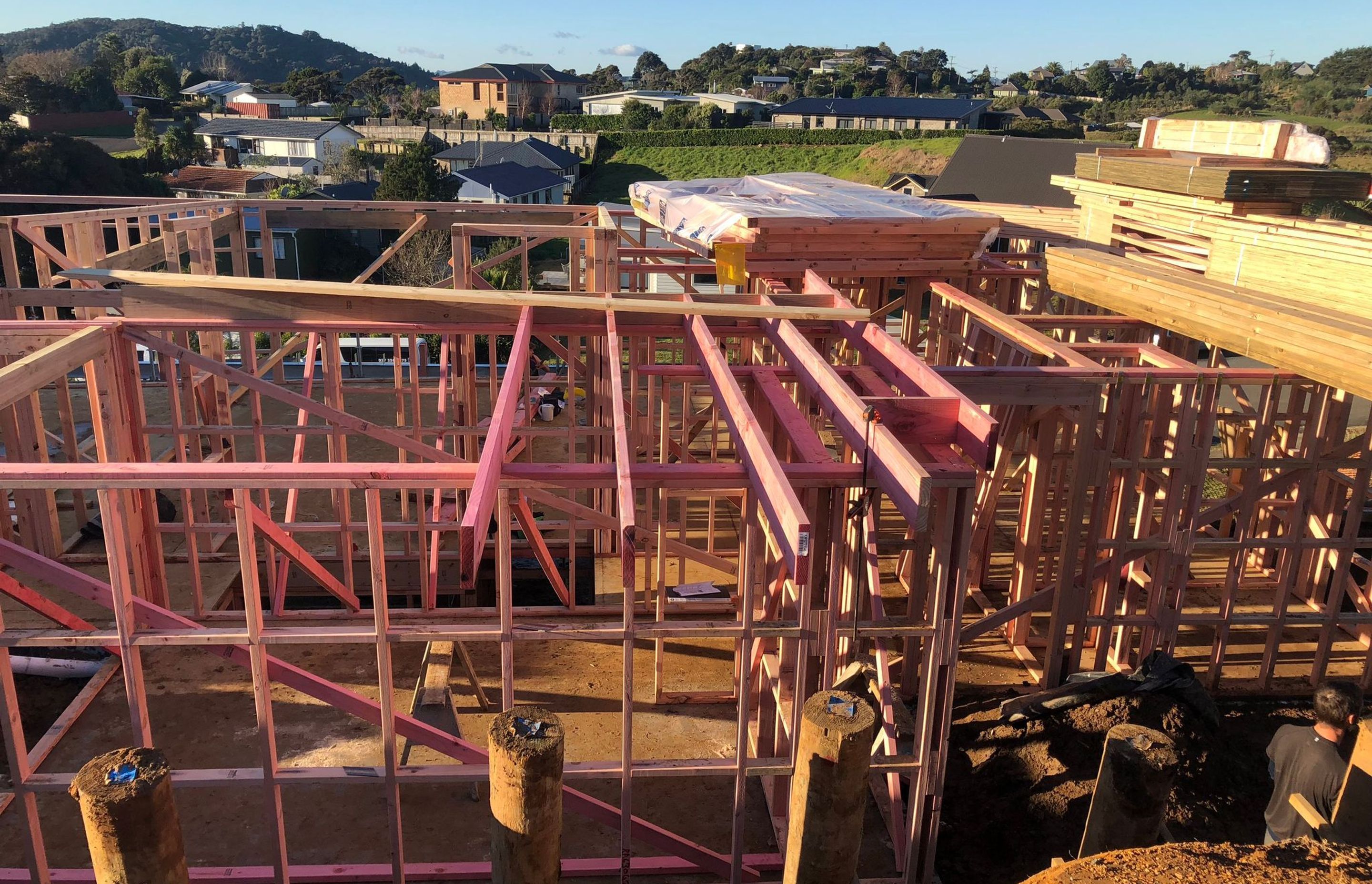 Nikau Park Renovation
