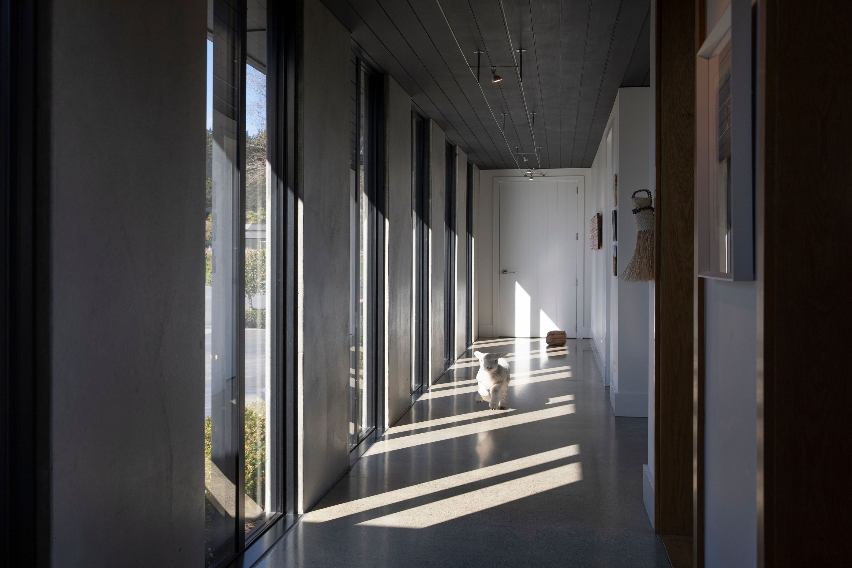 ehaus153.jpg