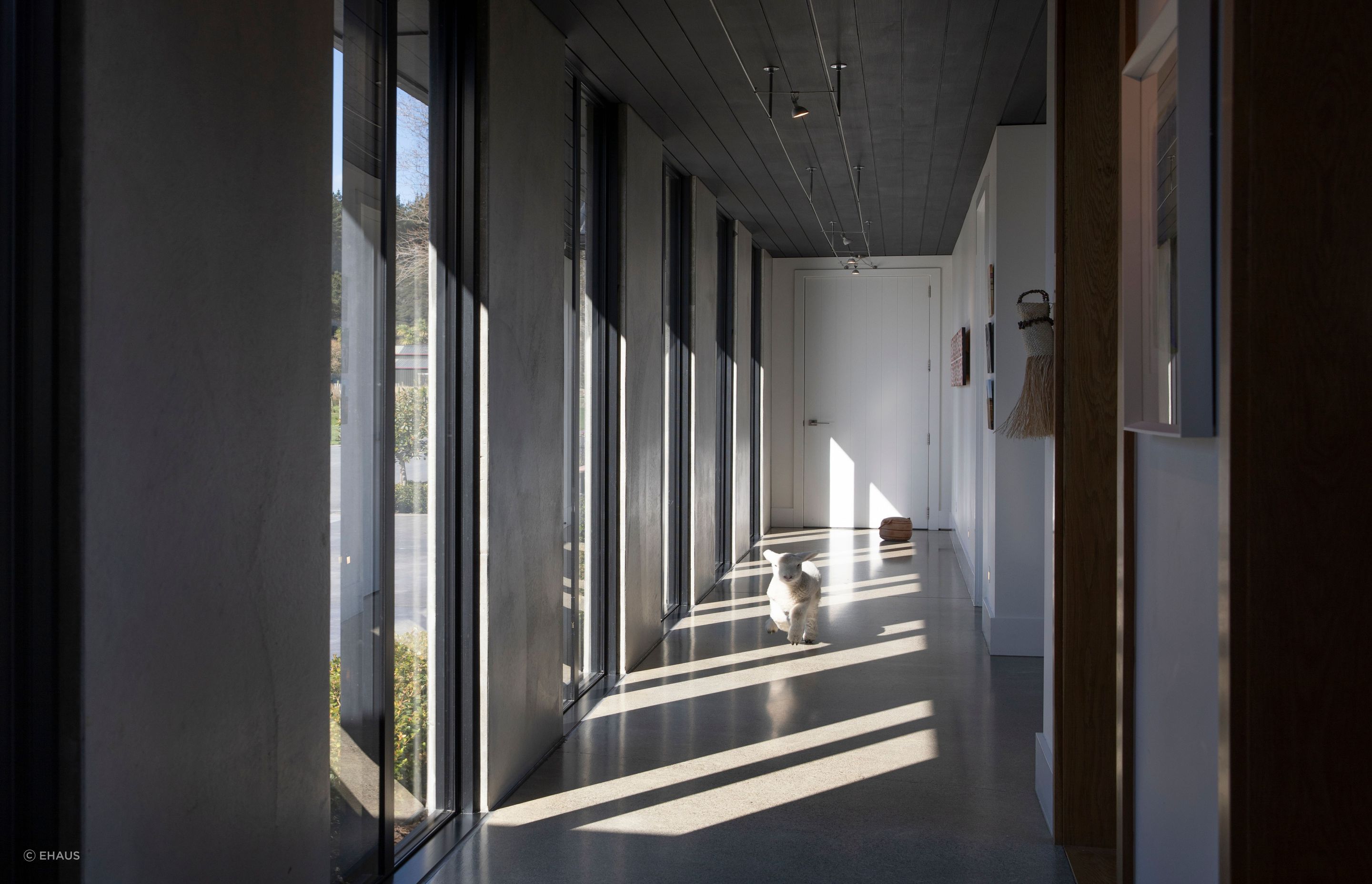 ehaus153.jpg