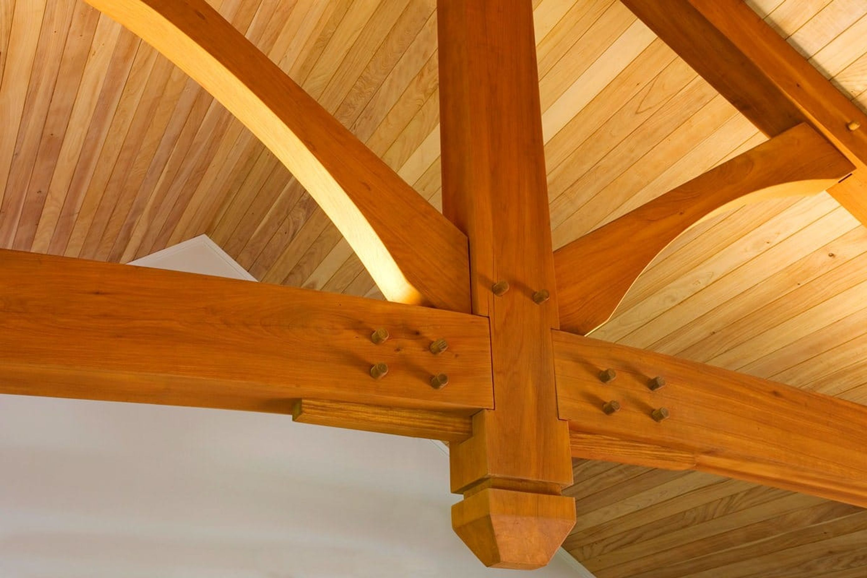 Trussed Living