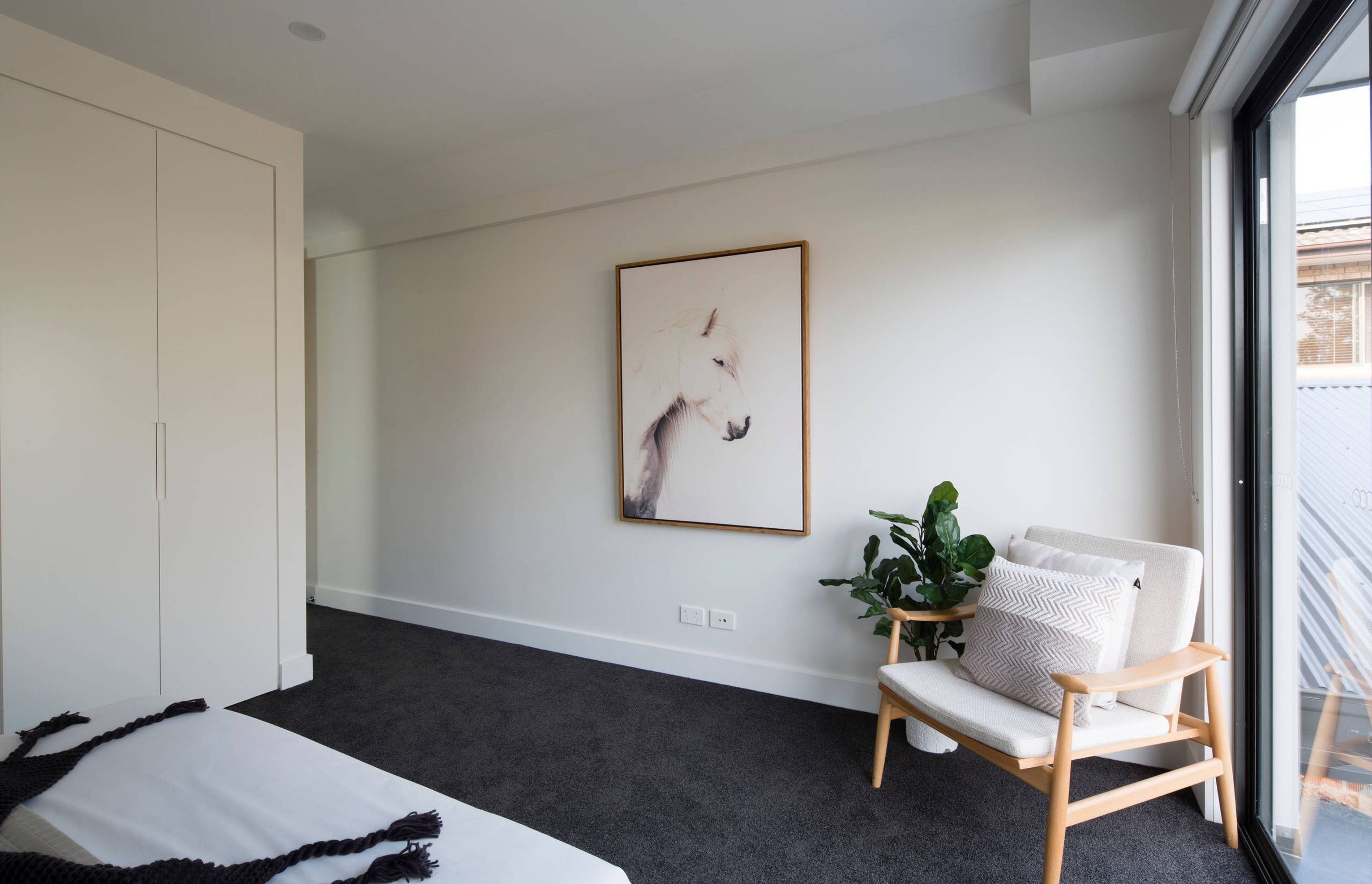 Luxury Contemporary / Leichhardt