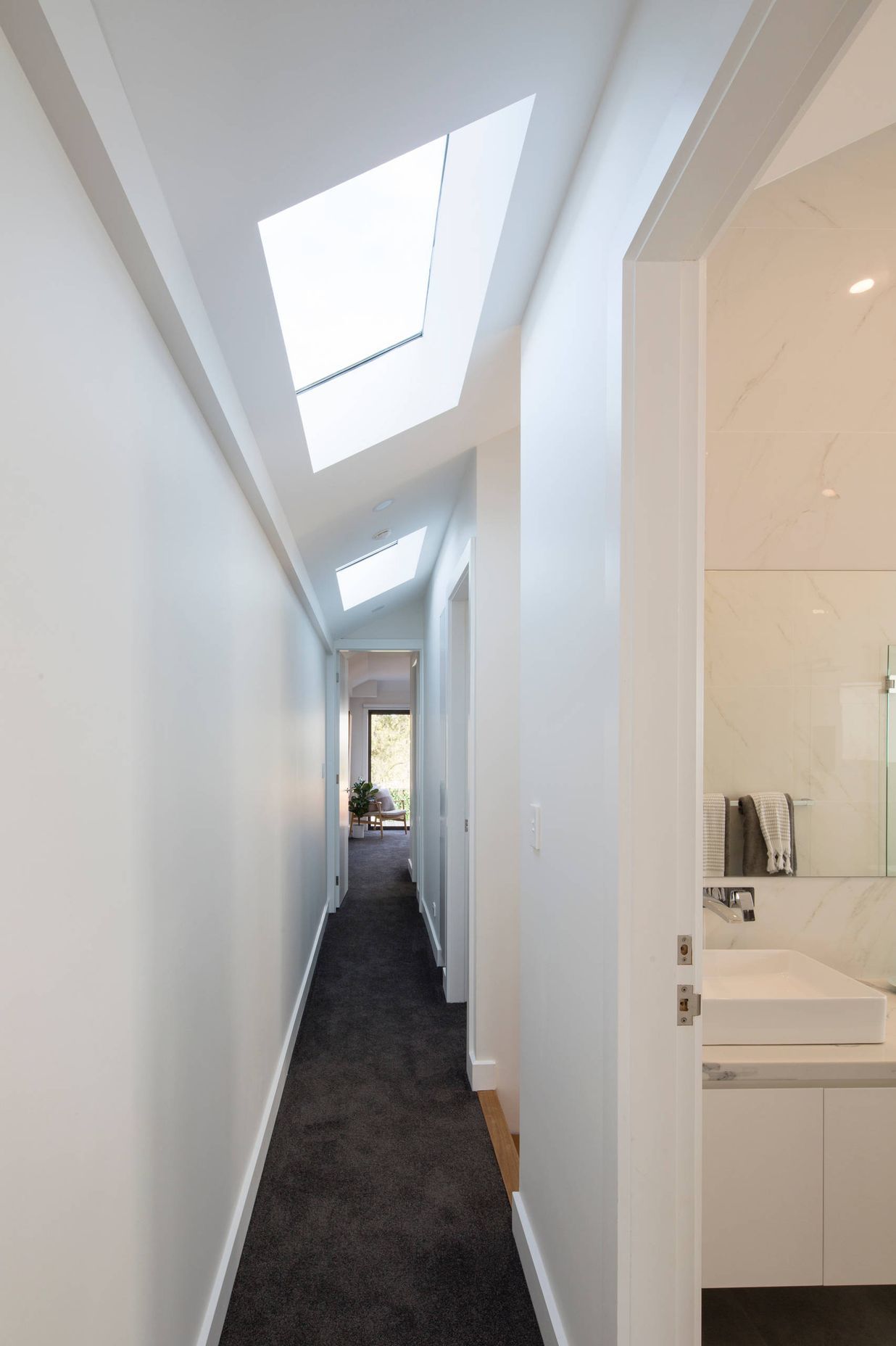 Luxury Contemporary / Leichhardt