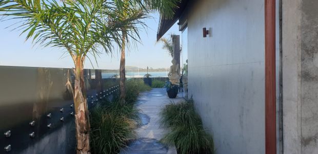 A narrow landscaped exterior walkway runs alongside a modern white rendered building. Palm trees, ornamental grasses, dark screening, potted plants and a paved path create a coastal outdoor approach, with a distant water view visible beyond the garden.