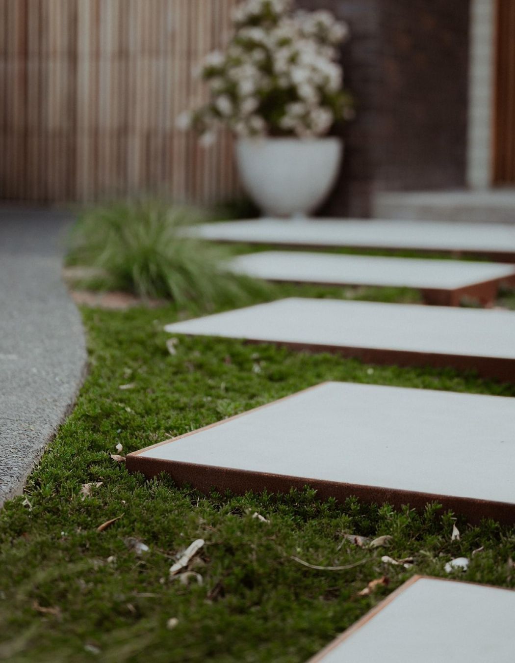 Werri Beach - Sun Seeker