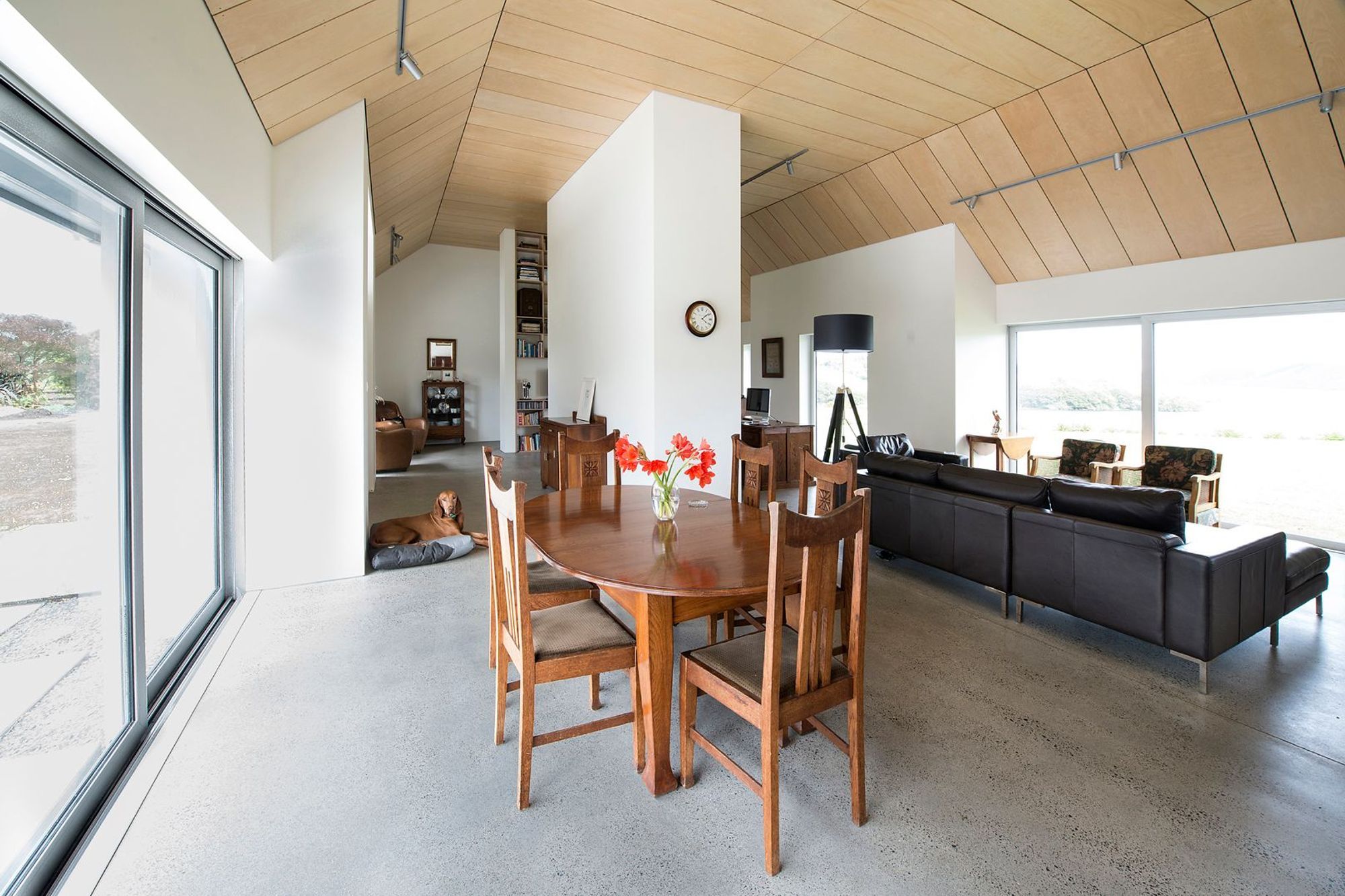 Arapuni Project