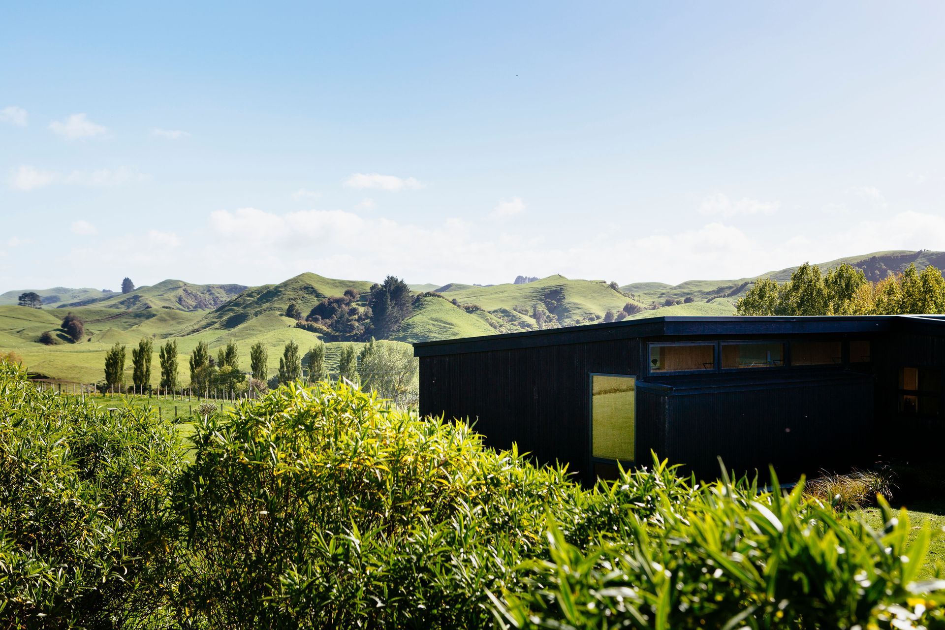Totara Hill, Taranaki