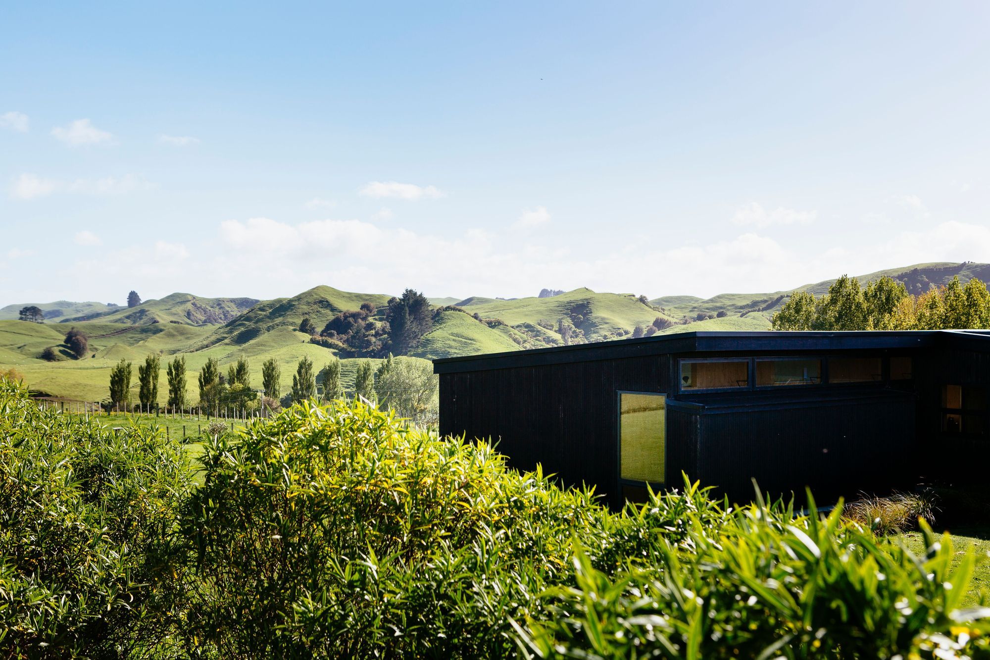 Totara Hill, Taranaki