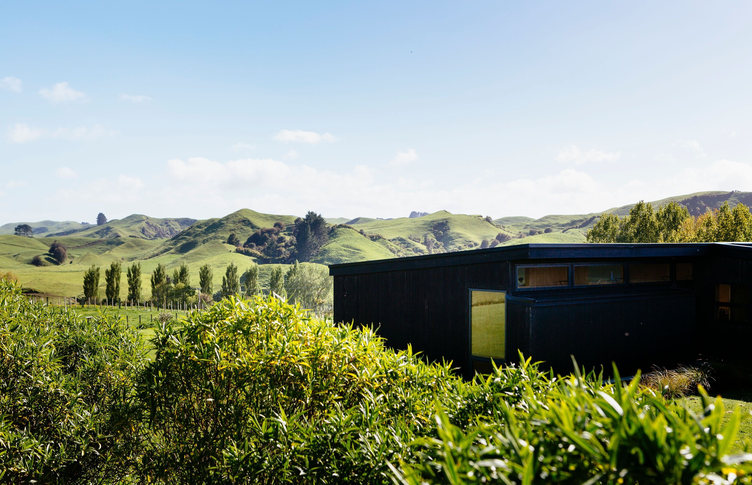 Totara Hill, Taranaki