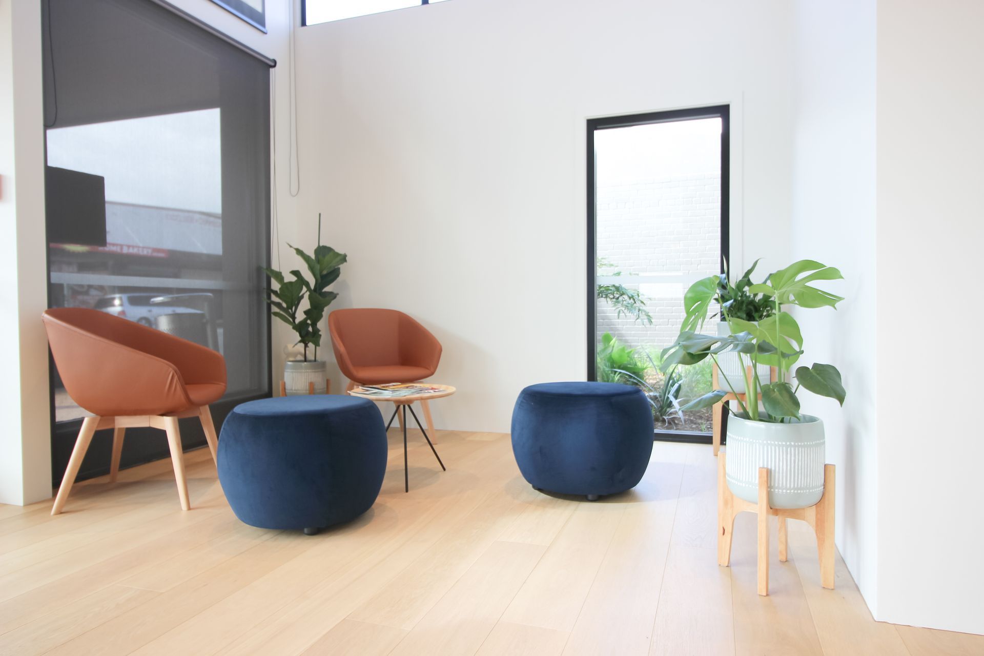 Avondale Dental - Dental Fit-out