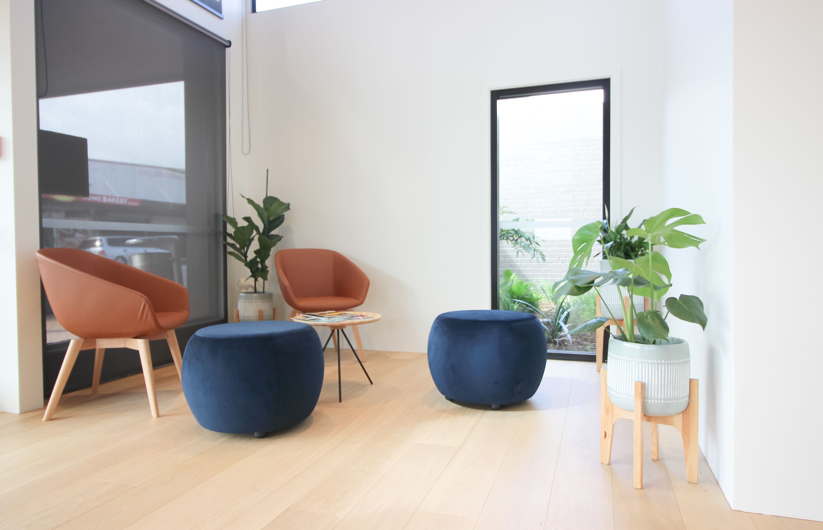 Avondale Dental - Dental Fit-out
