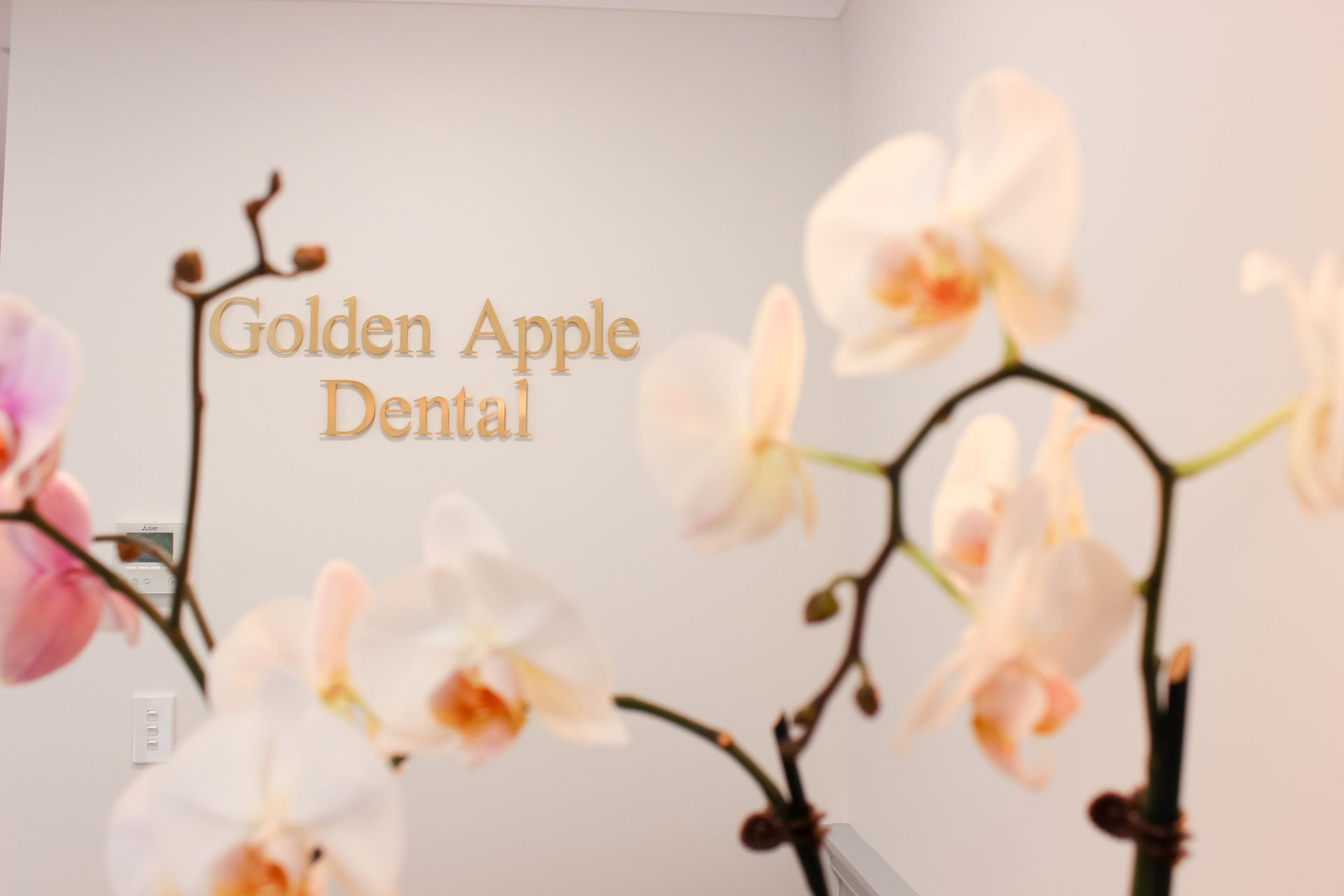 Golden Apple Dental - Dental Fit-out