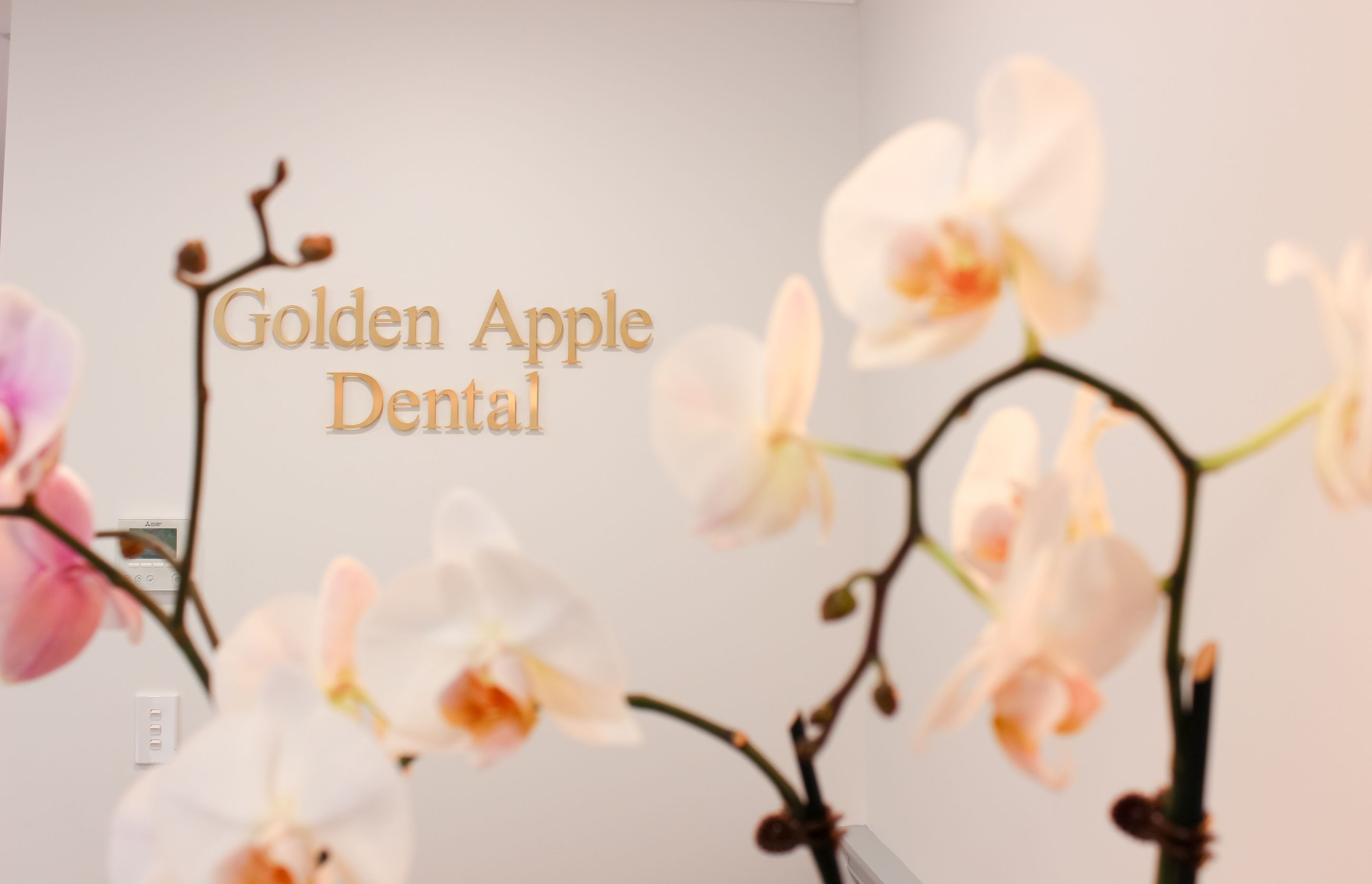Golden Apple Dental - Dental Fit-out