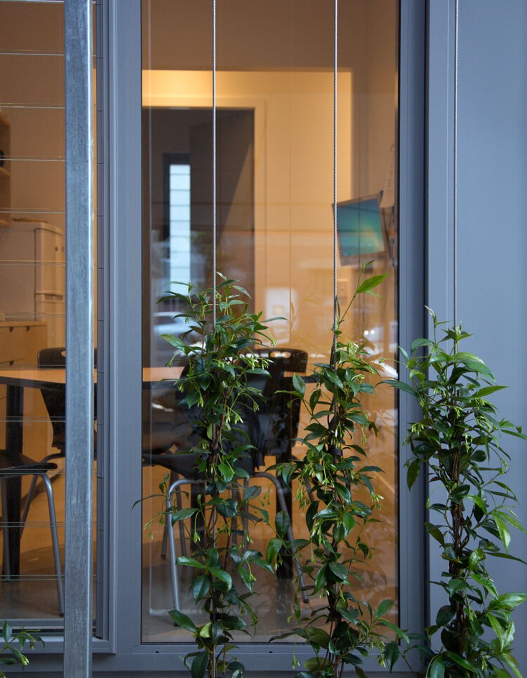 Matt Barker Orthodontist