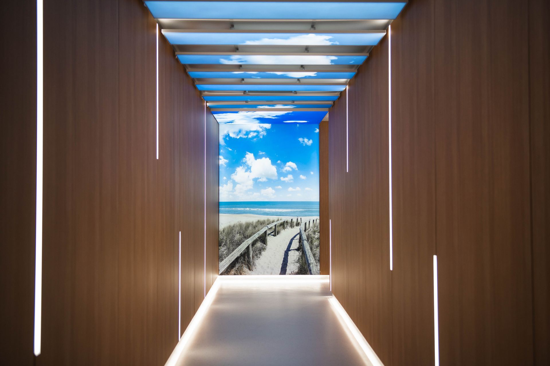 Auckland Radiation Oncology