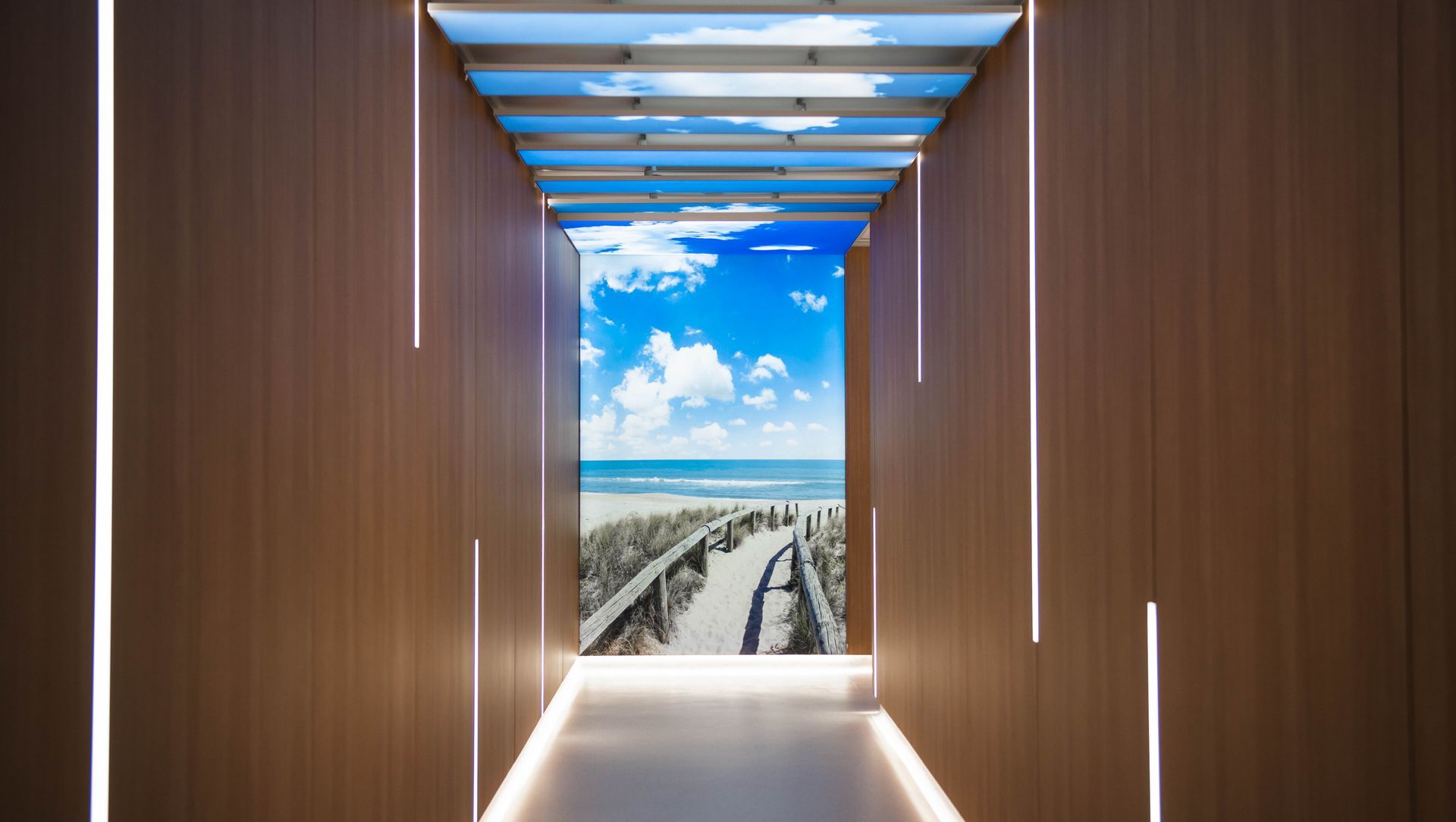 Auckland Radiation Oncology banner