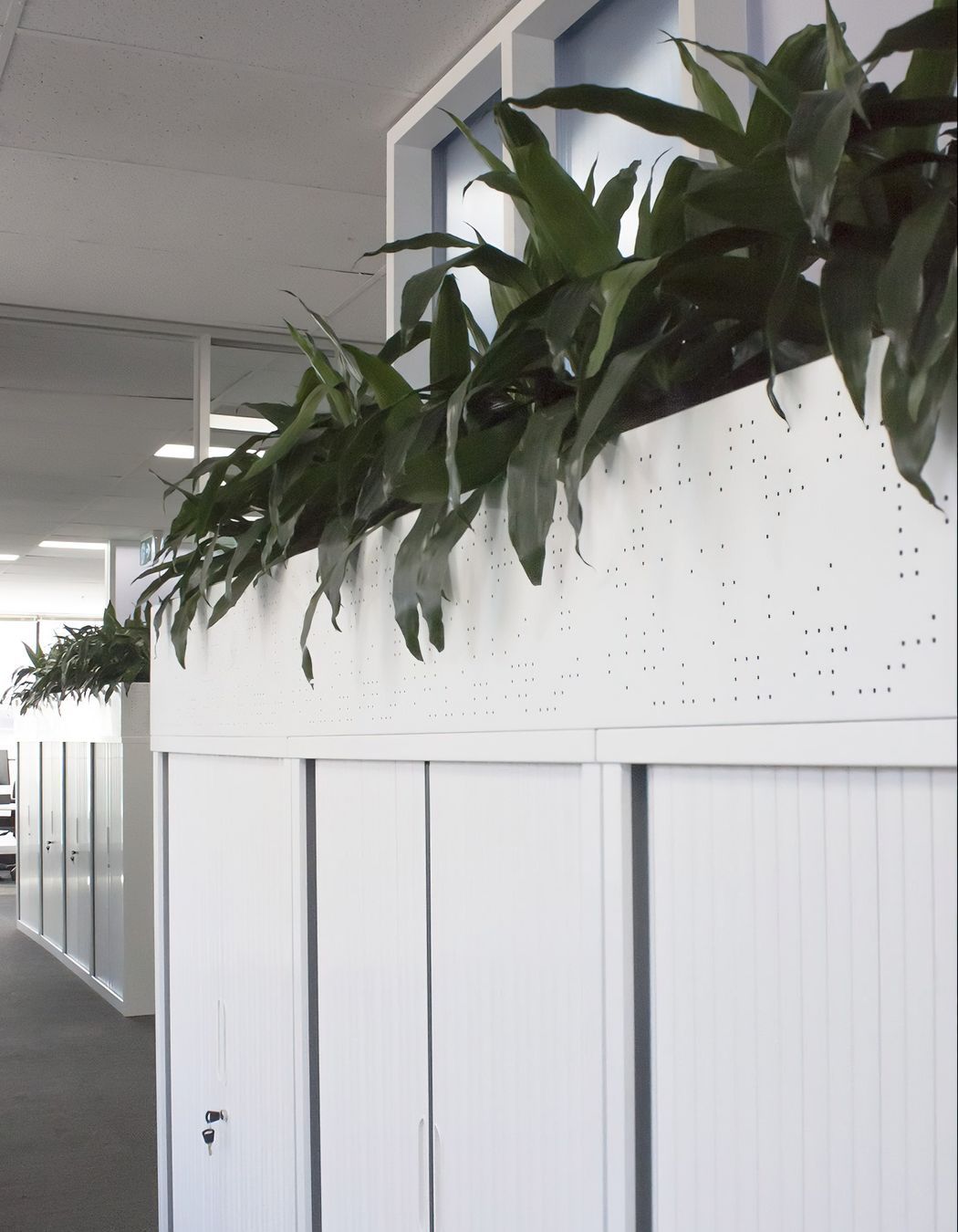 Optometry Australia HQ