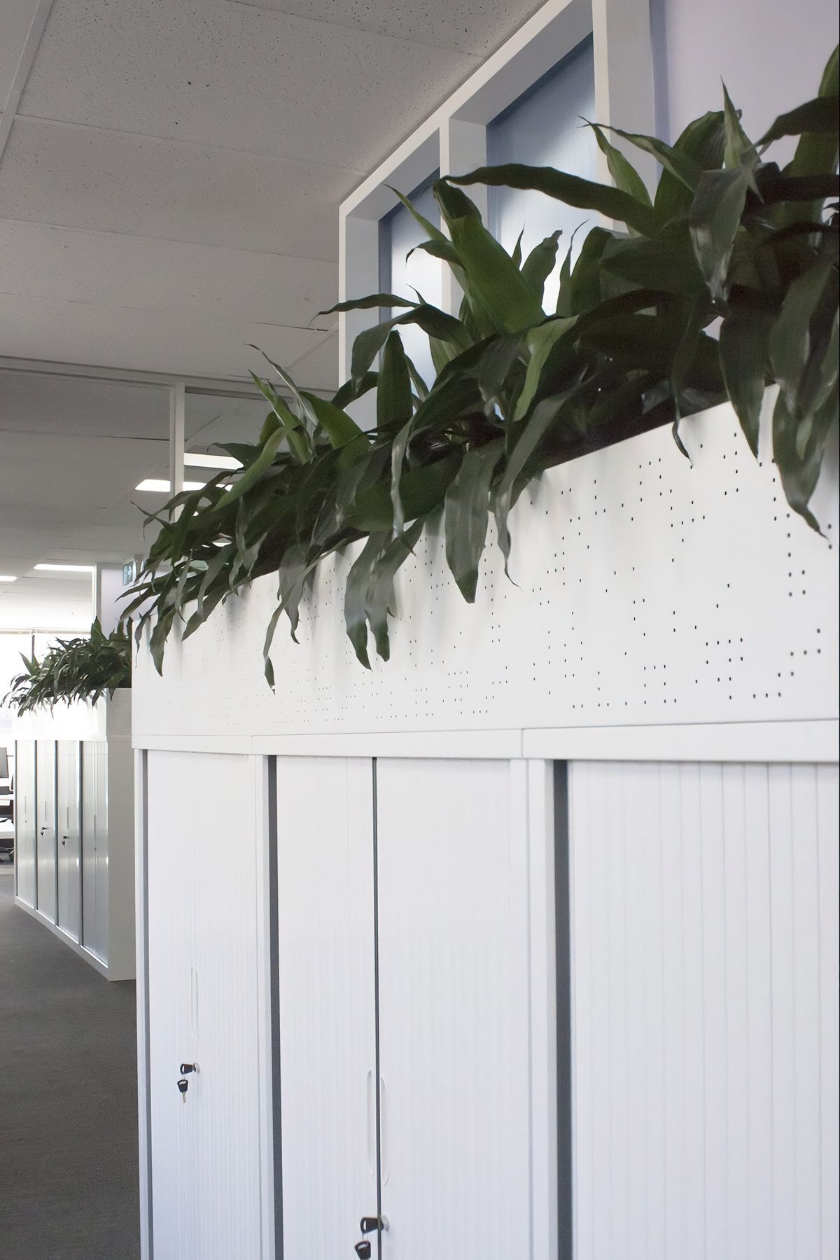 Optometry Australia HQ