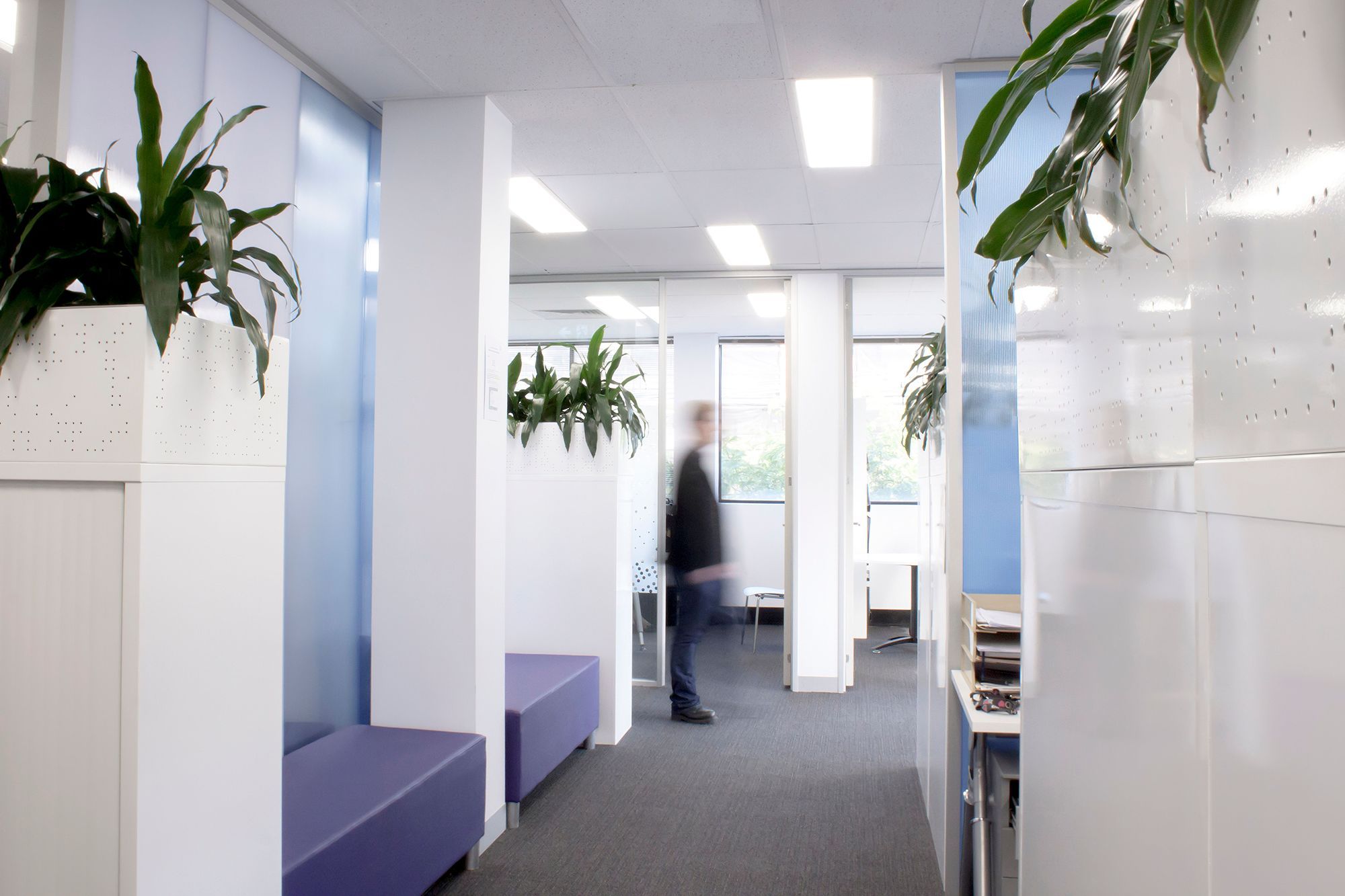 Optometry Australia HQ
