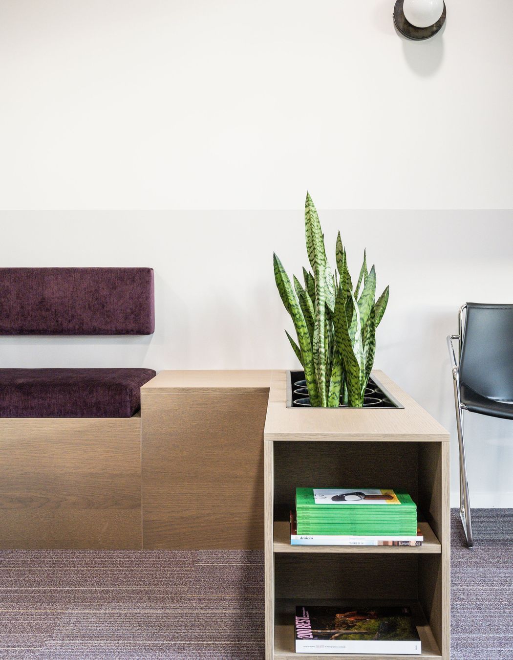 Papamoa Orthodontist Fitout