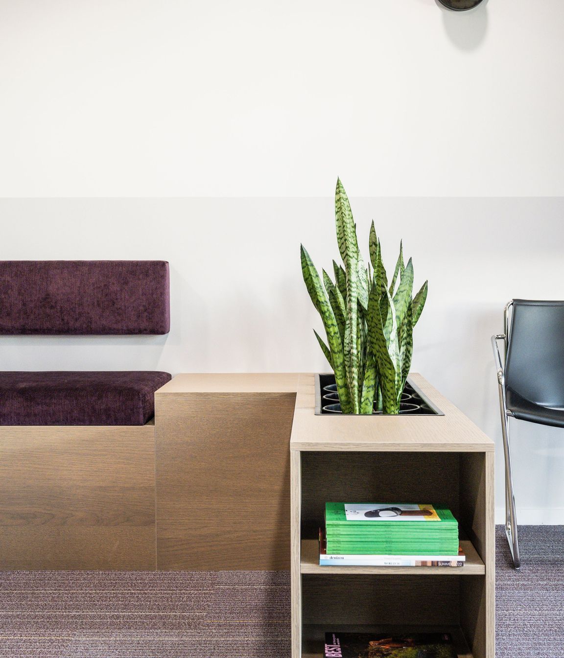 Papamoa Orthodontist Fitout