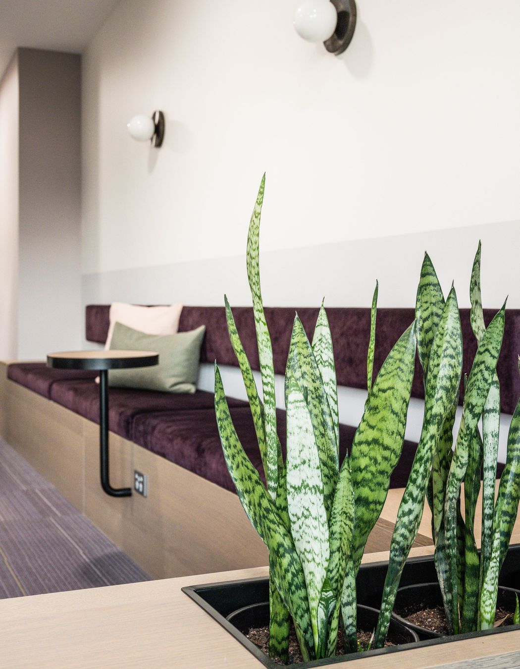 Papamoa Orthodontist Fitout