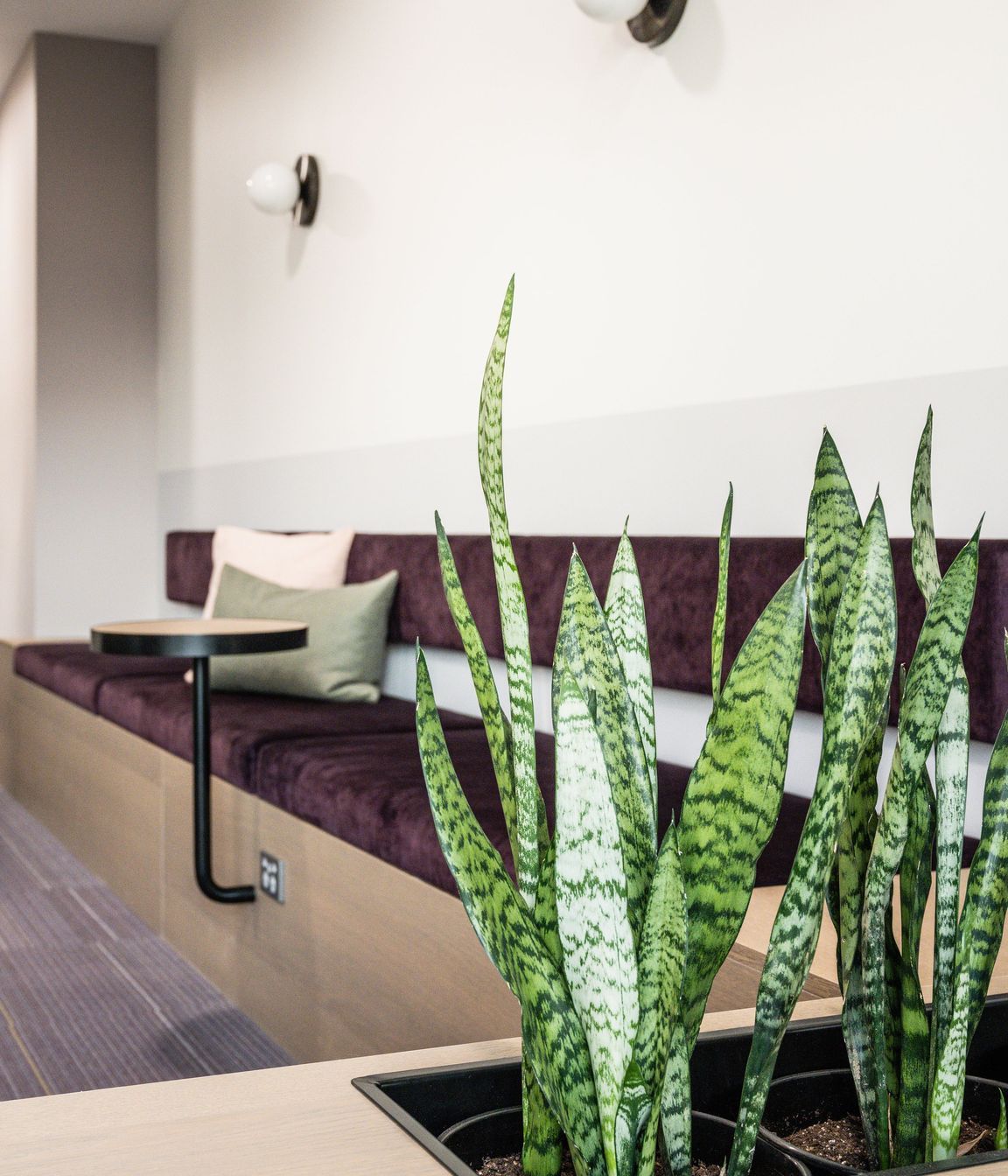 Papamoa Orthodontist Fitout